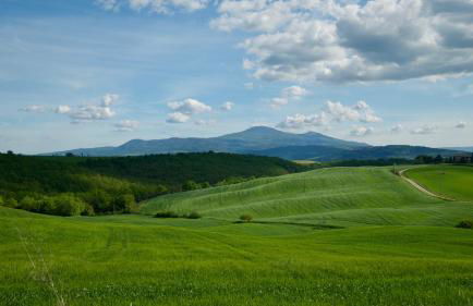 Il Melograno - San Quirico d'Orcia - Foto 49