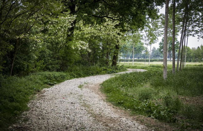 Agriturismo Relais Tenuta Il Cigno - Photo 4