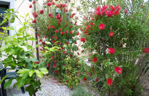 Residence Giuly Rosselmini - Foto 32