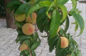 Marketos Apartments - Foto 59