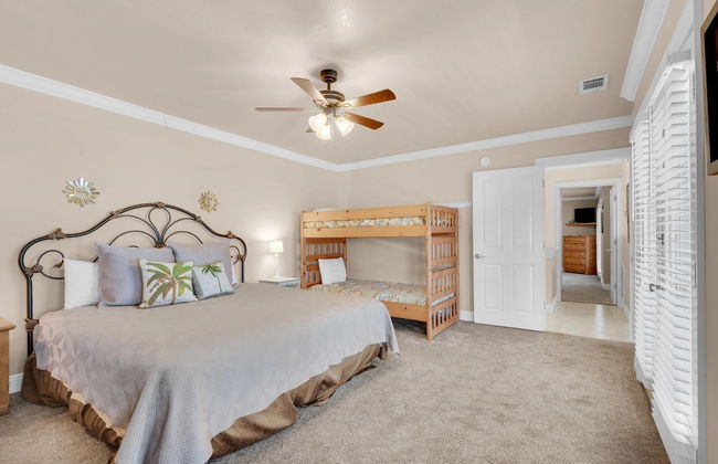 Blue Pelican - Foto 2