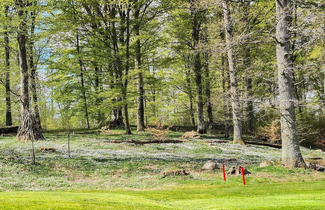 5 Person Holiday Home in Hassleholm-by Traum - Foto 8