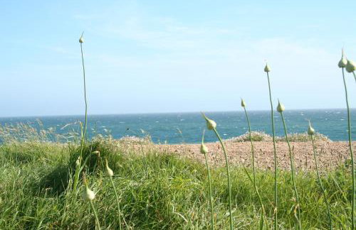 The Cottage Abbotsbury - Foto 28