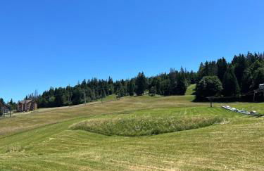 Appartement La Dole et Sens Au pied des pistes - Foto 21