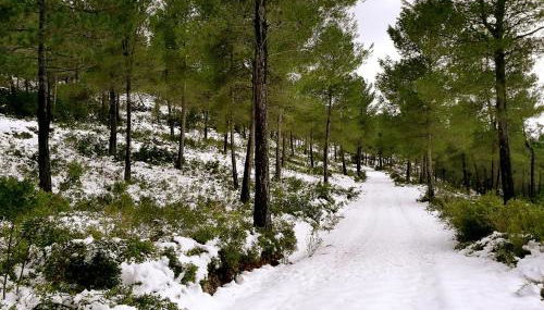 Finca La Celada - Foto 3