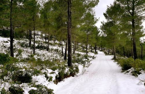 Finca La Celada - Foto 3