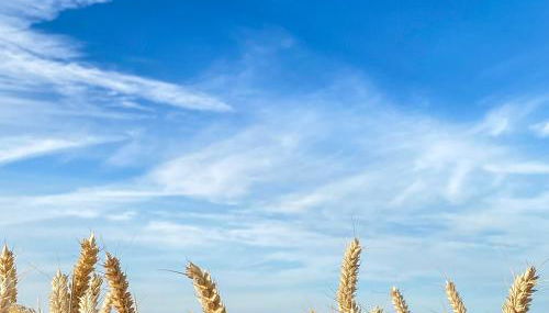 The Silos by Stamford Holiday Cottages - Foto 4