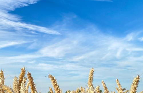 The Silos by Stamford Holiday Cottages - Foto 4