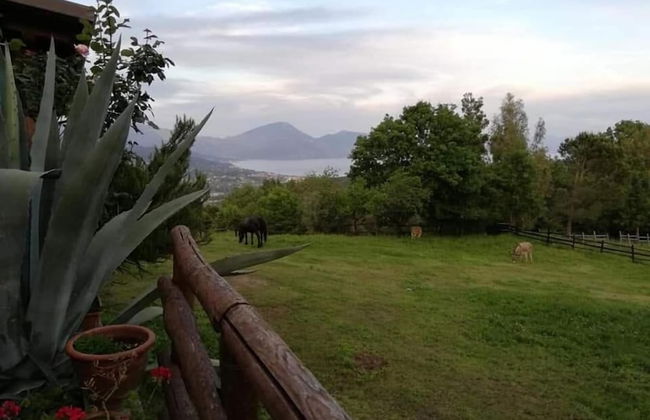 Il Rifugio del Contadino Country House - Photo 34