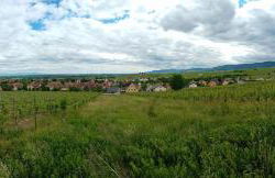 Bergheim Piscine - Foto 37