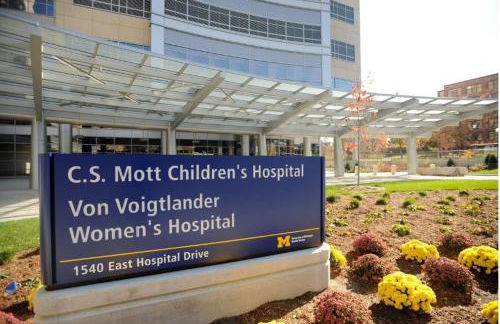 Ann Arbor Downtown Access - Walk to Stadium, Major Hospitals & Restaurants - Photo 50