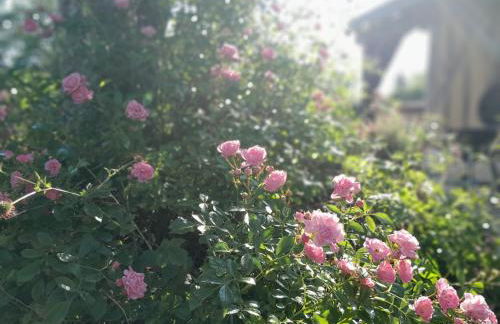 Gîte familial à Arrou avec jardin, babyfoot, mezzanine suspendue et cuisine équipée - FR-1-581-93 - Foto 13