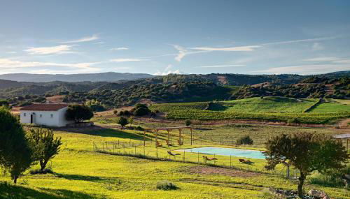Auberge Santu Martine Cottage with Pool (Ollastru) - Foto 4