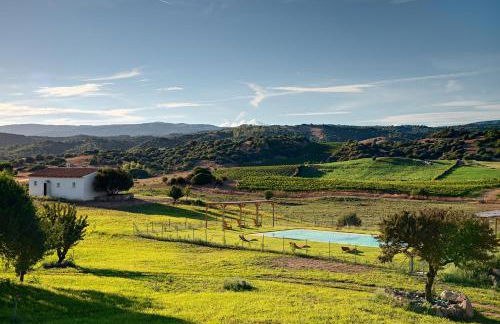 Auberge Santu Martine: Cottage with Pool (Manca) - Foto 33