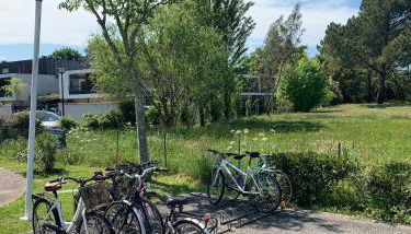 Amarine Landaise - Foto 3