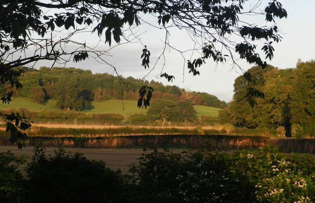 Cosy 5m Bell Tent Glamping in Rural Herefordshire - Foto 30
