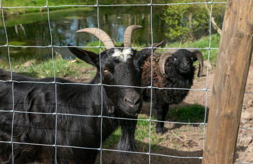 Village de gites Stereden - Foto 17