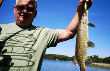 Erholungshaus "Kolibri" direkt in WandlitzWald See, Haustiere - Photo 23