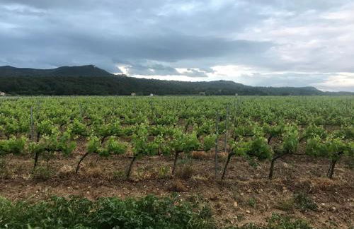 A l Aube du Midi - Foto 59