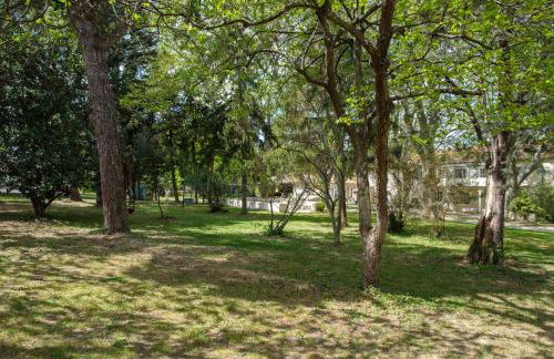 Mas 9 Romanin - Mas Provençal Familial - Foto 40