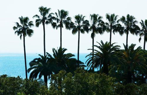 Villa d'Estelle Cannes - Foto 24