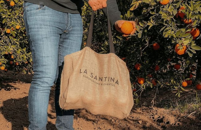 La Santina Posada & Experiencia de Campo - Foto 35