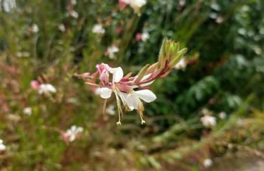 La Gaura Relax e Mare - Foto 18