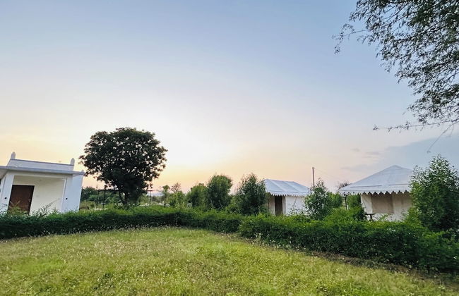 Jawai Horizon Camp - Foto 26