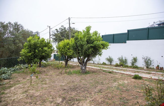 Filipe Village - Casa do Avô Zé - Foto 40