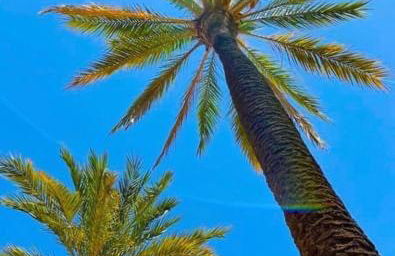 Vue imprenable sur mer- La perle de Saint Pierre La Mer - Foto 28