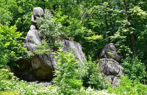 Wilcza Gajowka - Foto 13