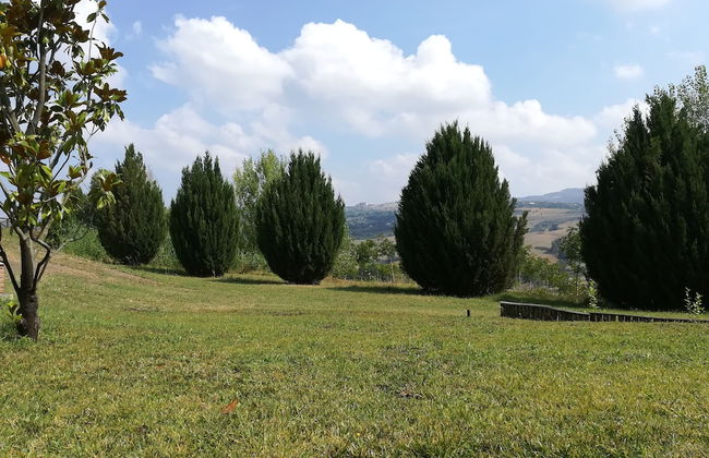 Agriturismo I Tre Ulivi - Foto 22