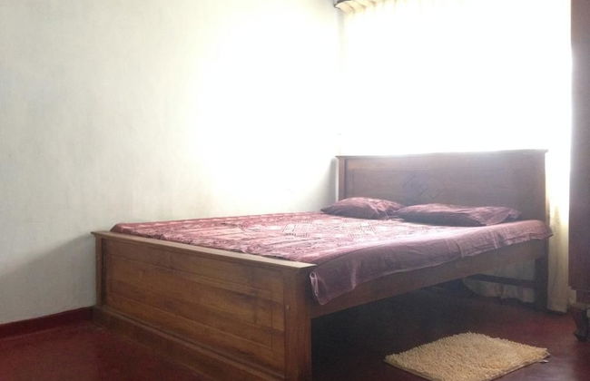 Villahredpalm - Foto 2