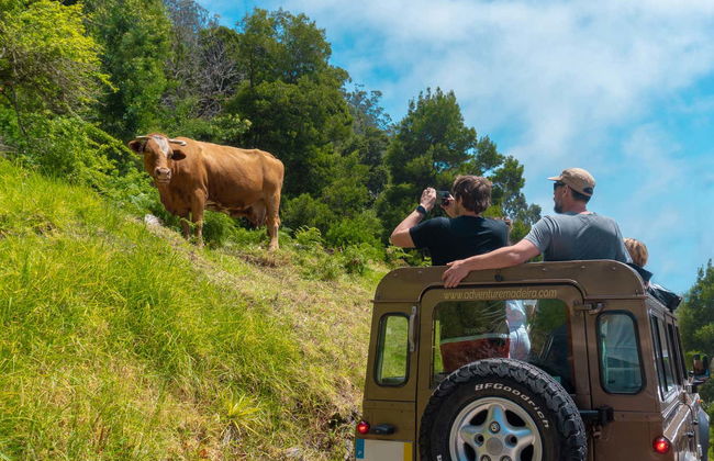 Northern Madeira & Porto Muniz Pools Offroad Tour - Photo 1