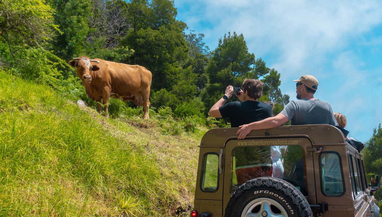 In 4x4 decappottabile