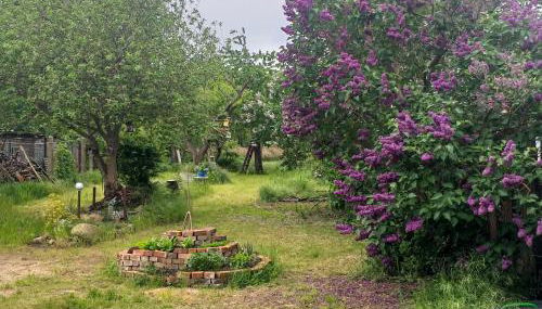 Fischerhaus am Strom - Foto 4