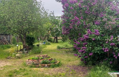 Fischerhaus am Strom - Foto 4