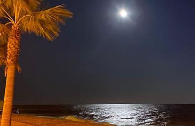 Apart. Pineda de Mar-Sea and mountains views - Foto 22