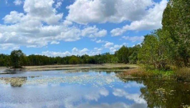 Cattana Wetlands, Barron Falls & Skyrail Tour from Cairns - Foto 5