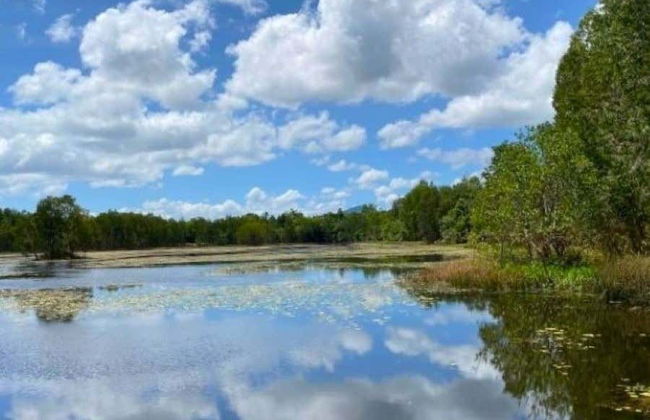 Excursión a Cattana y las cataratas del Barron + Skyrail Rainforest - Foto 6
