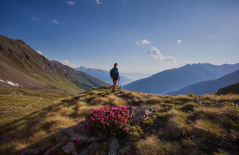 Elegance Mountain Edolo Ponte di Legno - Foto 29