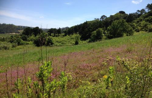 Rio d'Azenha - Country House - Foto 24