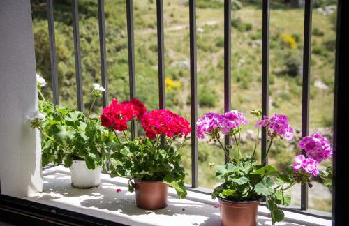 Tambor Del Llano - Foto 13