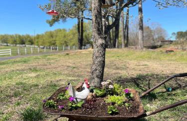 In the Woods by a Pond! Sugar Ranch Guest House! - Foto 71