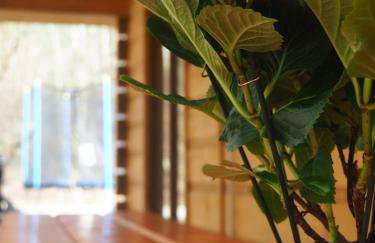 Bochenówka - Foto 10