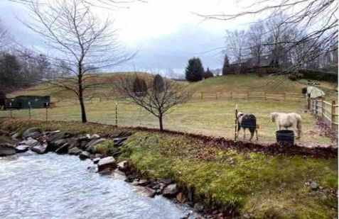 Petting Zoo! Hot Tub, 15 acres, stream & Romance! - Foto 13