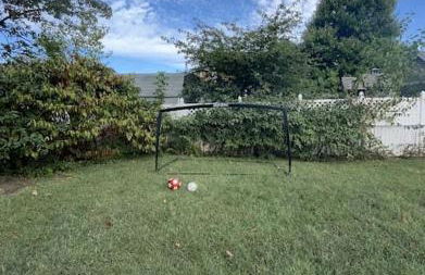 Entire Spacious Home Near DC - Photo 47