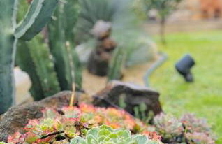 Casa da Touça - Foto 25