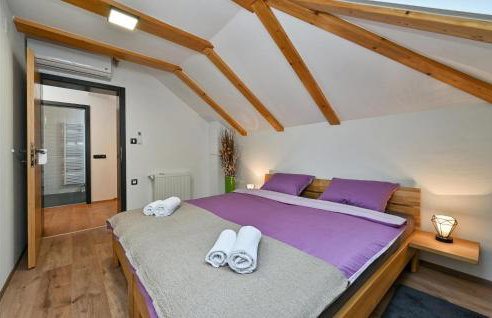 Cozy Home In Vitesinec With Sauna - Foto 24