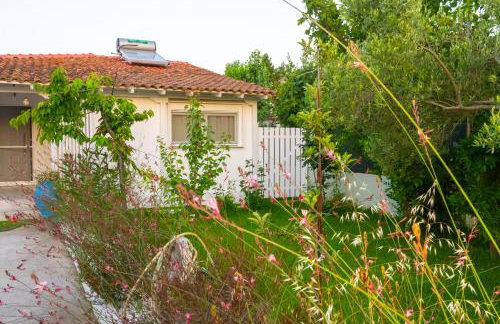 Island house - Foto 48